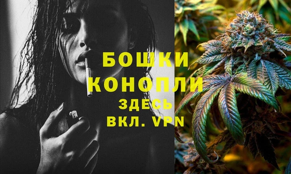 метадон Сафоново