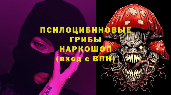 молекула духа Арсеньев